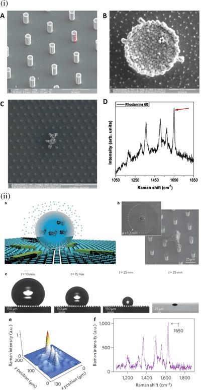 Sonia Sarbon, photo 2