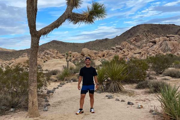 Mshrm Franco Mannucci, photo 2