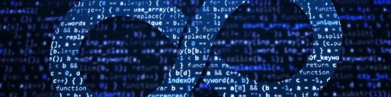 Niranjan Paranjape, photo 2