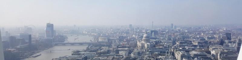 Alyssa Martin, photo 2