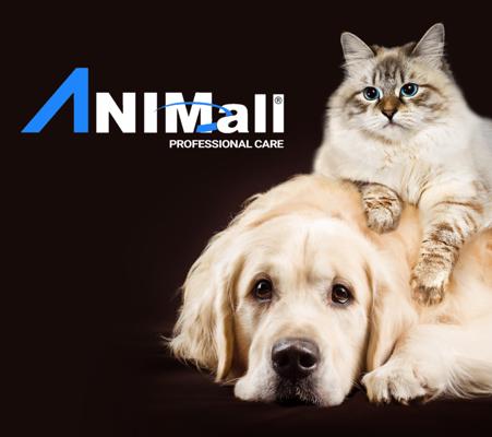 Ayush Choudhary, photo 1