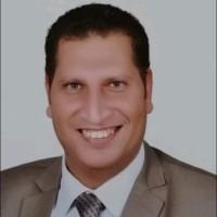 Sherif Sakr, photo 2