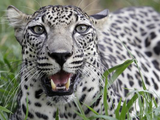 David Stanton, photo 1