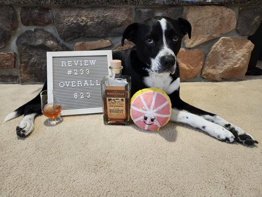 Kat Spellman, photo 2