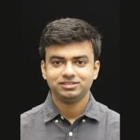 Kaustabh Roy, photo 2