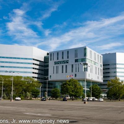 Noemi Schor, photo 1