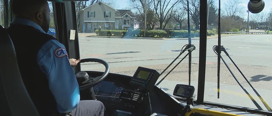 Lisa Maragnano, photo 1