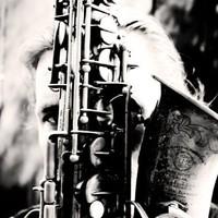 Joris Posthumus, photo 2