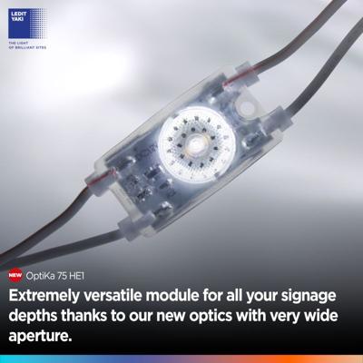 Nicola Dal Ponte, photo 2