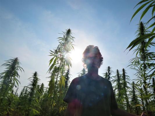 Andrew Nelson, photo 2