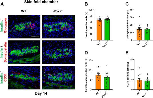 Nathan Vollmar, photo 1
