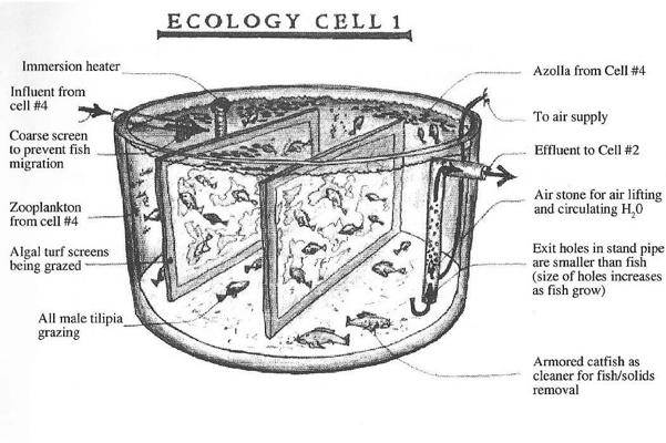 Steve Holland, photo 1