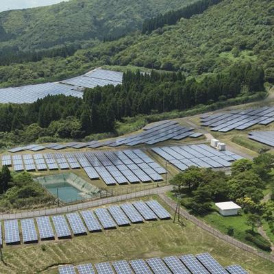 Fred Widicus, photo 1