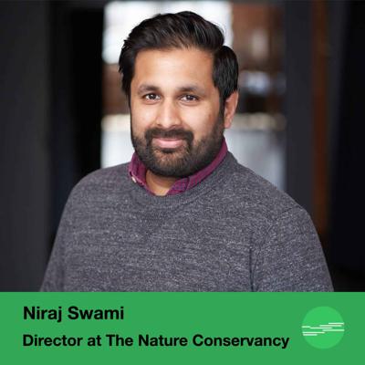 Niraj Swami, photo 2