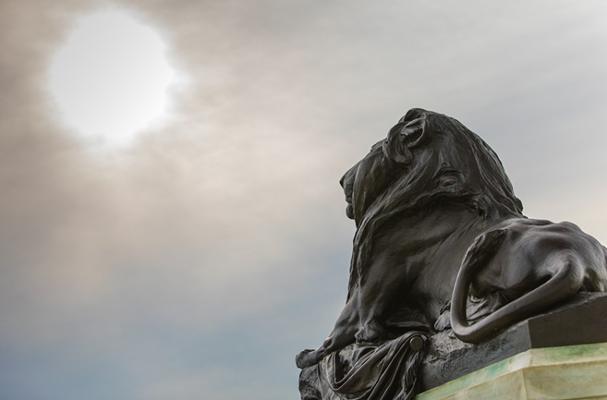 Nathan Wiegman, photo 1