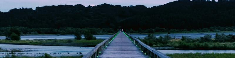 Praveengouda Patil, photo 1