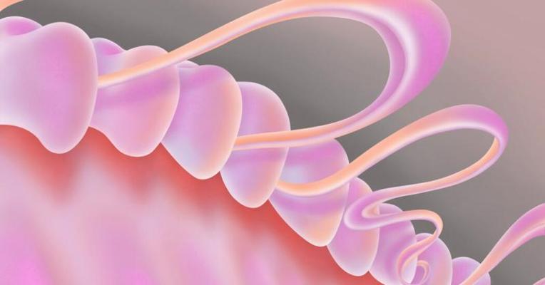 Daniela Perez, photo 1