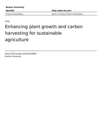 Zhila White, photo 1