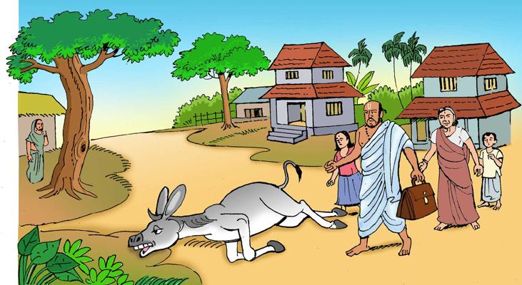 Krishna Rao, photo 1