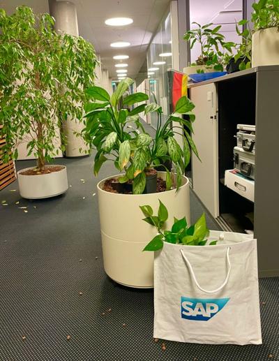 Bharathkumar Kinnera, photo 2