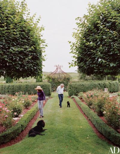 Alan Koppel, photo 1