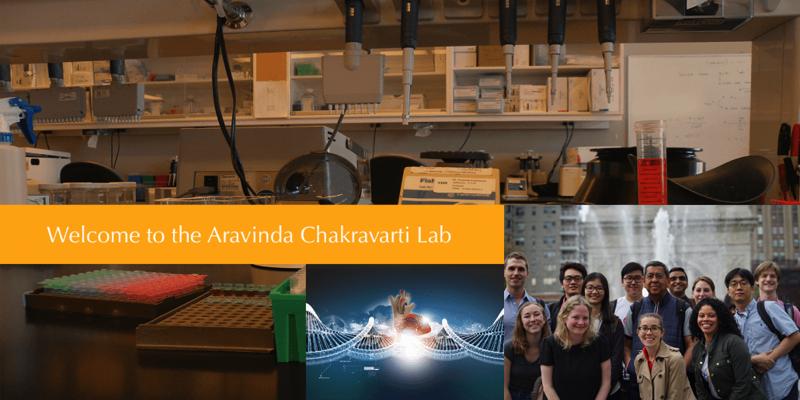 Laura McGuffin, photo 1