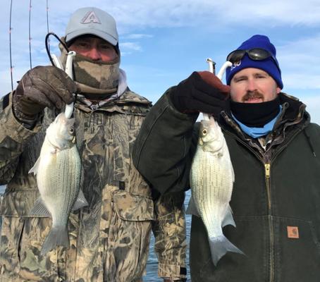 Ryan Renfrow, photo 2