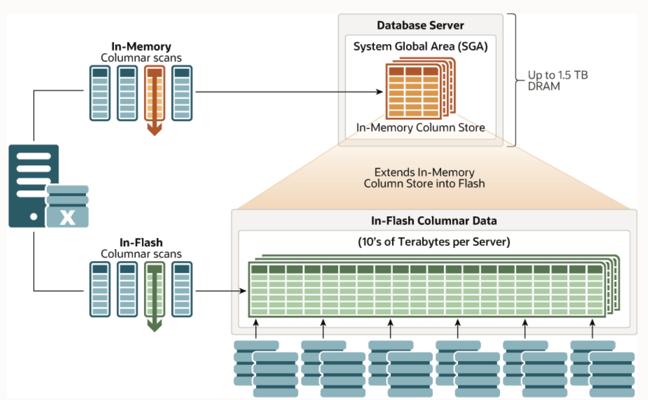 Bob Fonacier, photo 1