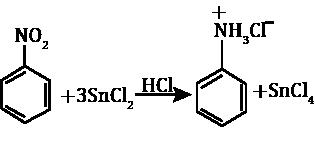 Priestly S N, photo 2