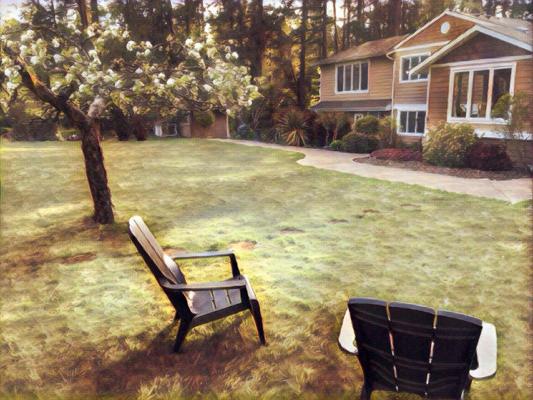 Robb Ludwick, photo 1