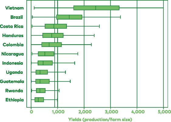 Raluca Dragusanu, photo 2