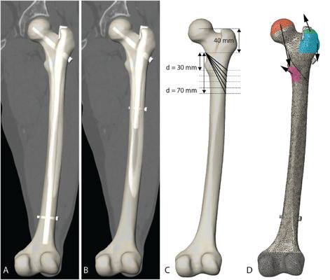 Olivier Sérès, photo 1