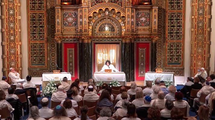 Nassim Berrahal, photo 2