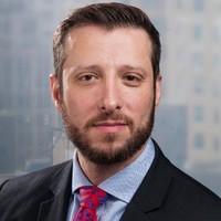 Tomer Siegal, photo 1