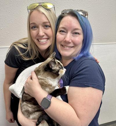 Carrie Hunter, photo 1