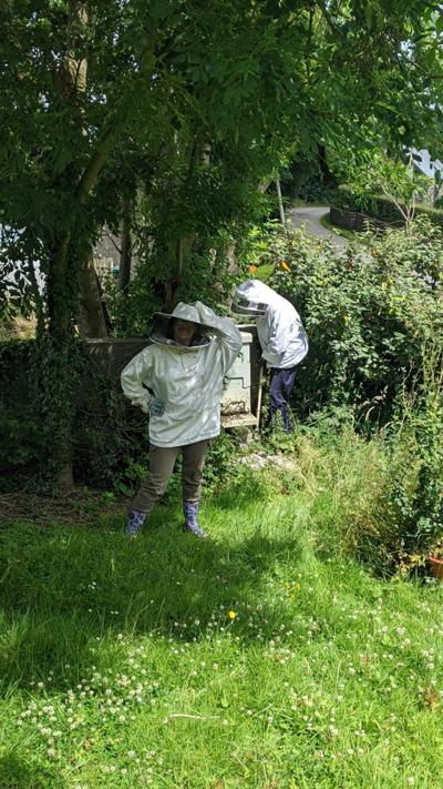 Hannah Kingston, photo 2