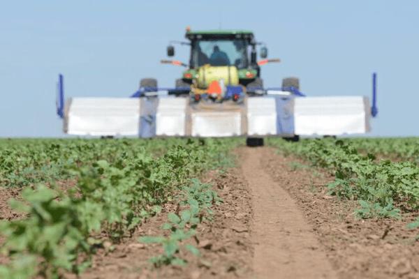 Delroy Walker, photo 1