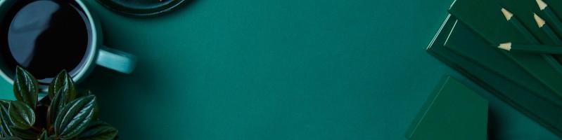 Ashish Vinekar, photo 2