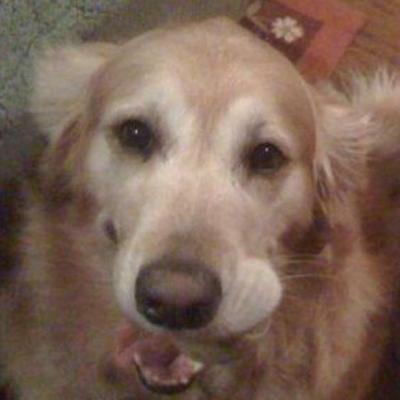 Ashley Martens, photo 1