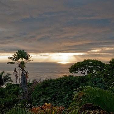 Ian Bennett-Goldberg