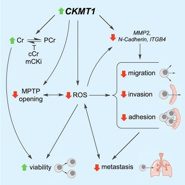 Ben Benajiba, photo 1