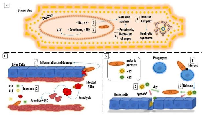 ShiTing Zhang, photo 2