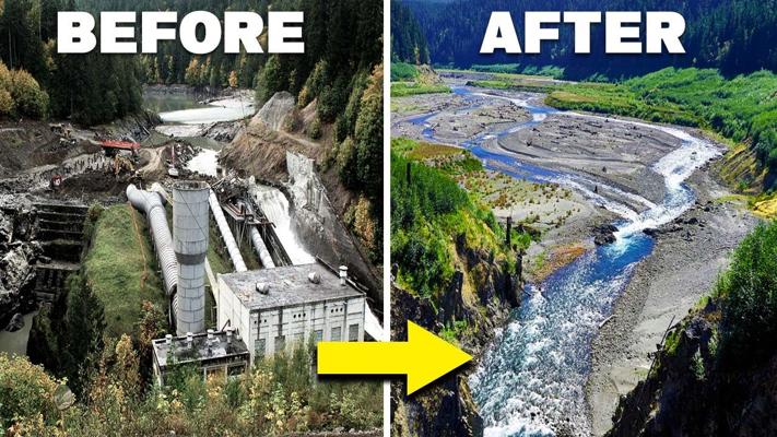 Nima Naimi Akbar, photo 1