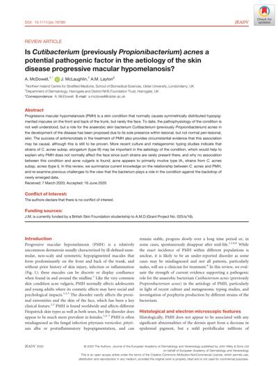 Leyla Polozhani, photo 2