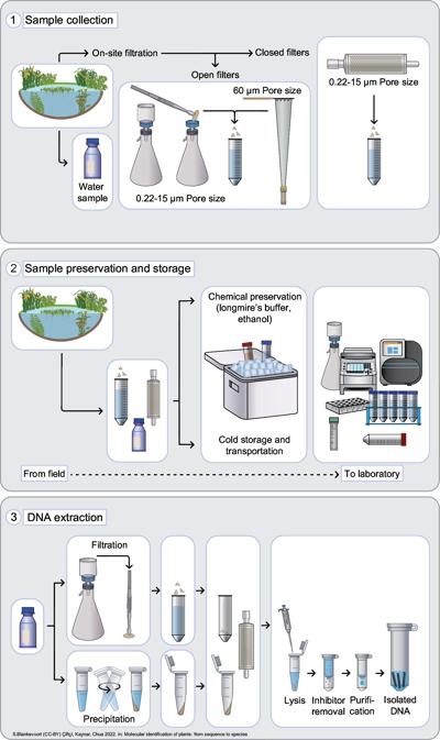 Walter Torres, photo 1
