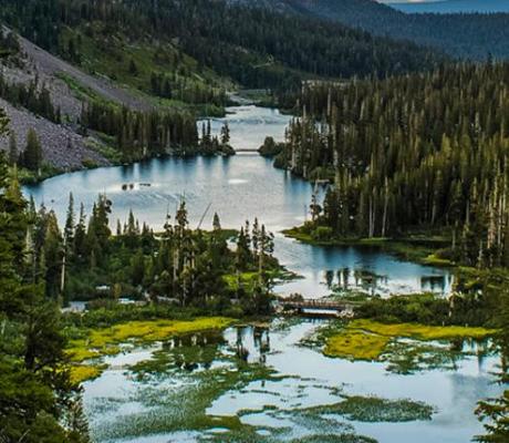 Jonathan Zenir, photo 2