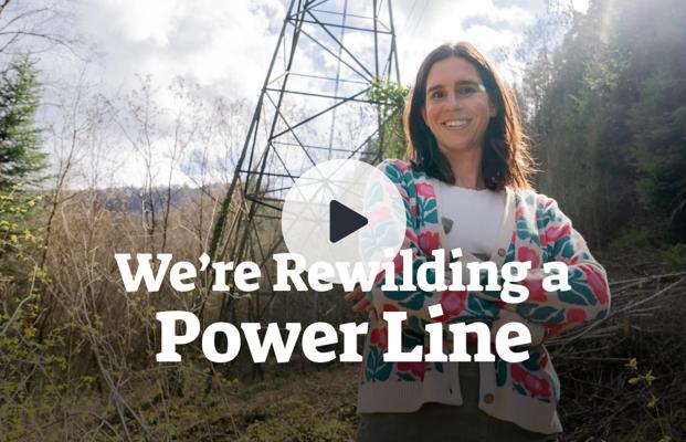 Susann Arnold, photo 2