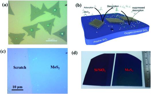 Iqbal Addou, photo 1