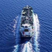 Ashu Thakore, photo 2