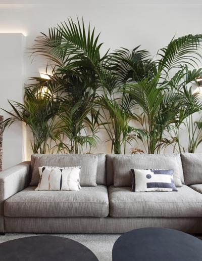 Gertjan Hoffer, photo 2